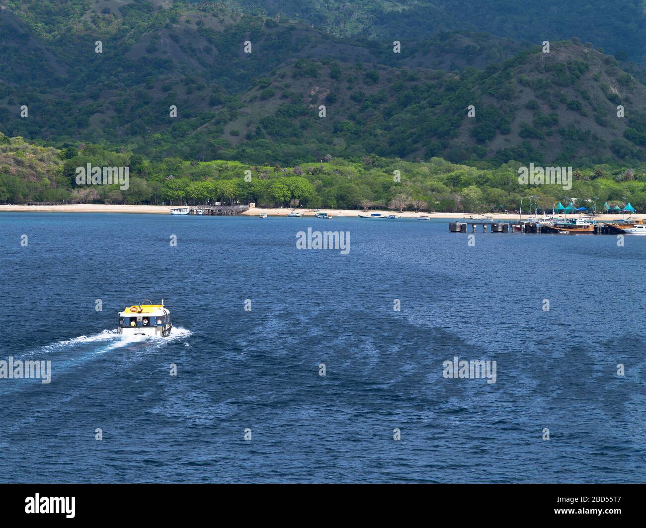 dh Komodo Nation Park KOMODO ISLAND INDONESIA le navi MS Boudicca lanciano in direzione del molo di atterraggio delle isole indonesiane Foto Stock