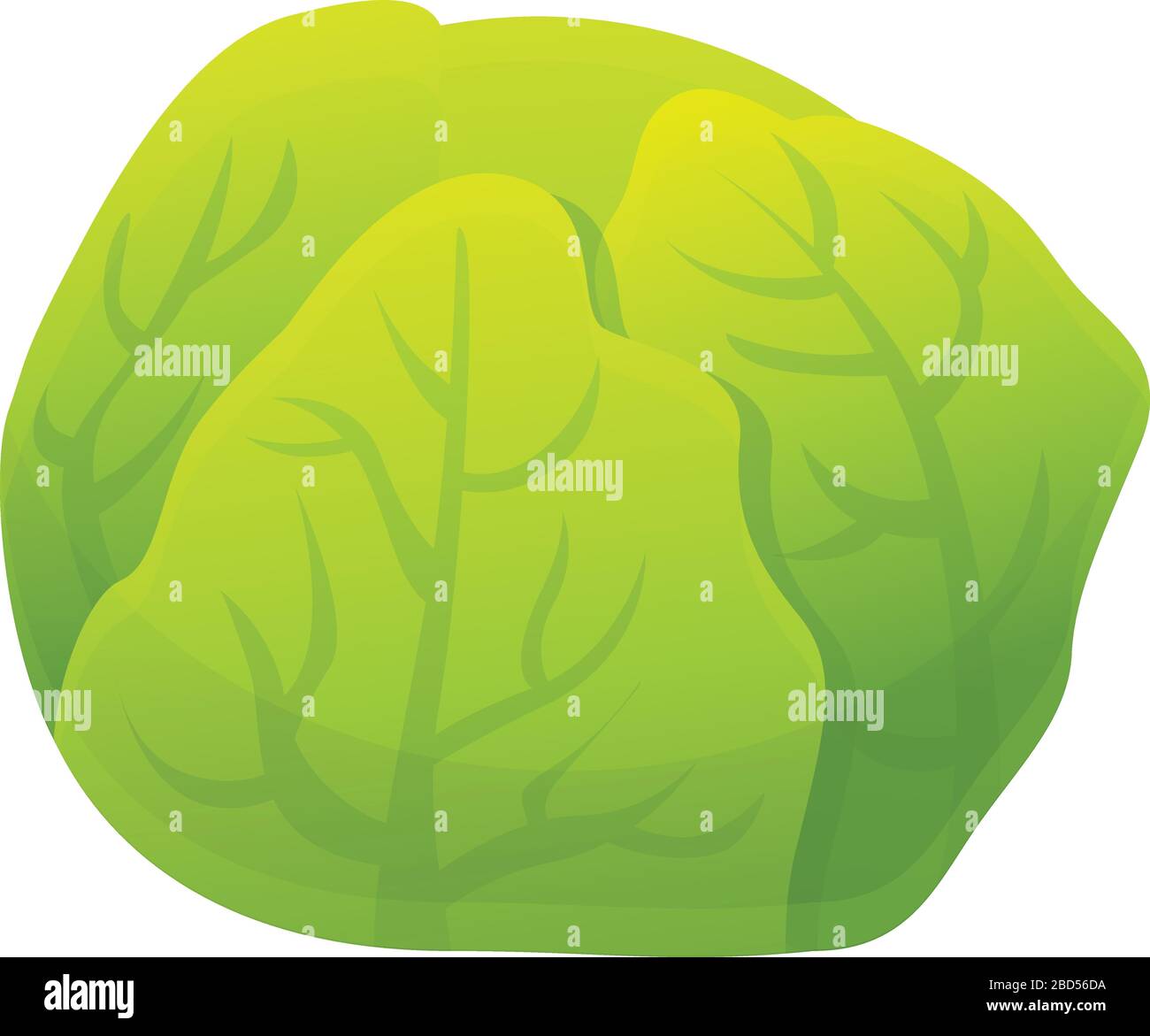 Icona cavolo. Cartoon di cabolo icona vettoriale per web design isolato su sfondo bianco Immagine e Vettoriale - Alamy Icona cavolo. Cartoon di cabolo icona vettoriale per web design isolato su sfondo bianco Immagine e Vettoriale - Alamy