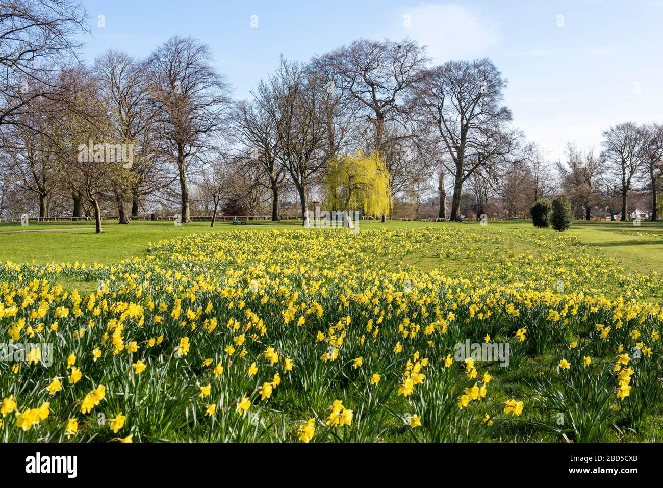 Sunny primavera Day a Sutton Lawn, catturato durante la chiusura di Covid-19, aprile 2020 Sutton in Ashfield Nottinghamshire Inghilterra Regno Unito Foto Stock