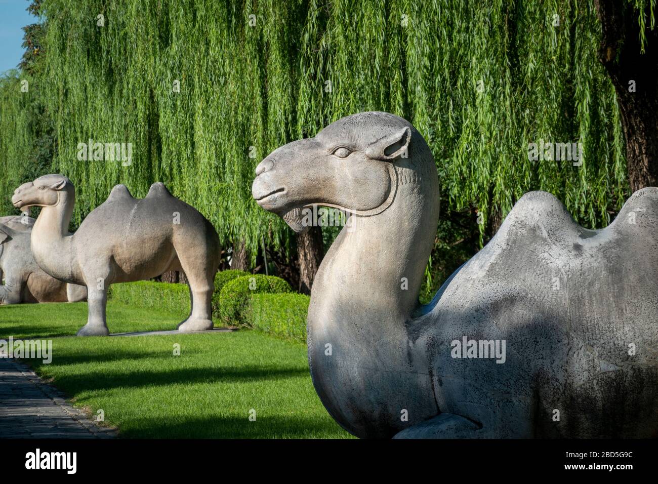 Statua di cammello battrio, Spirito o Via Sacra, Tombe Ming, Changping District, Pechino, Cina Foto Stock