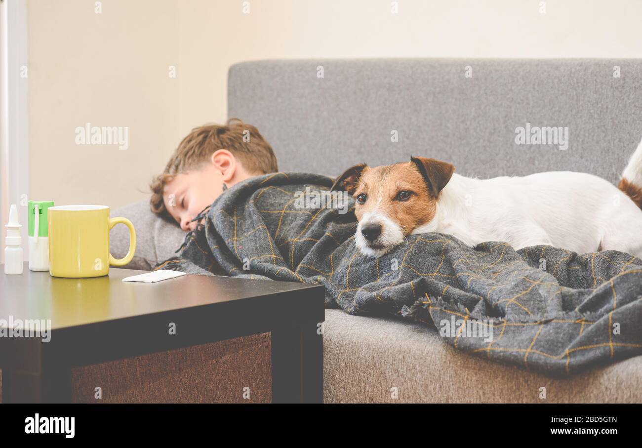 Concetto pandemico di coronavirus con bambino malato che dorme e cane triste che giace vicino Foto Stock