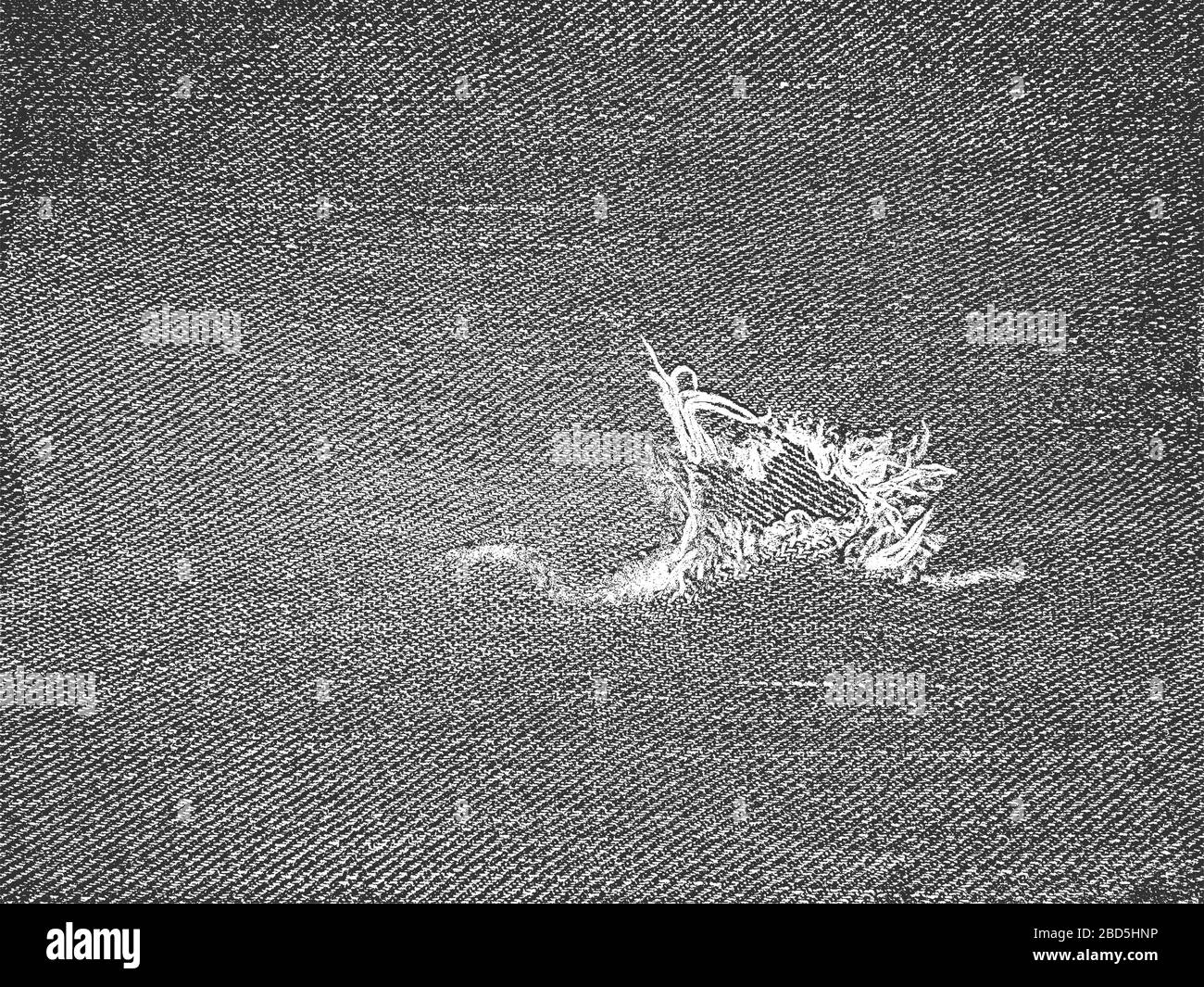 Tessuto vettoriale grunge di soccorso di tessuto jeans con fori, borsa, sacco, sacco, sacco, sacco, sacco, sacco, sacco, sacco, sacco, sacco, sacco. Sfondo bianco e nero. Illustrazione EPS 8 Illustrazione Vettoriale