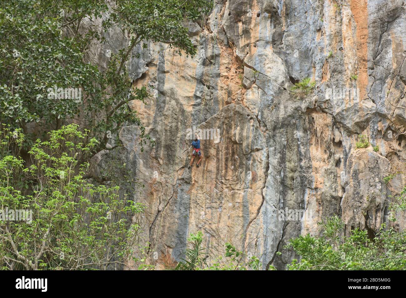 Arrampicata nella Valle Viñales, Cuba Foto Stock