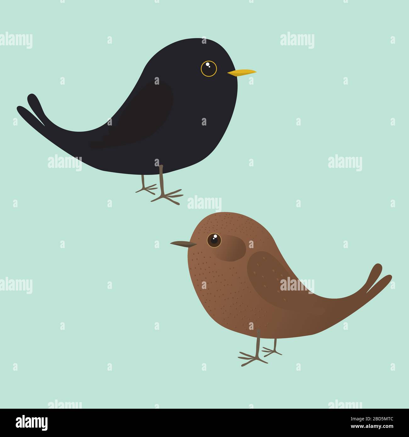 Un paio di carina illustrazione di uccelli neri. È un uccello maschio e una femmina Illustrazione Vettoriale