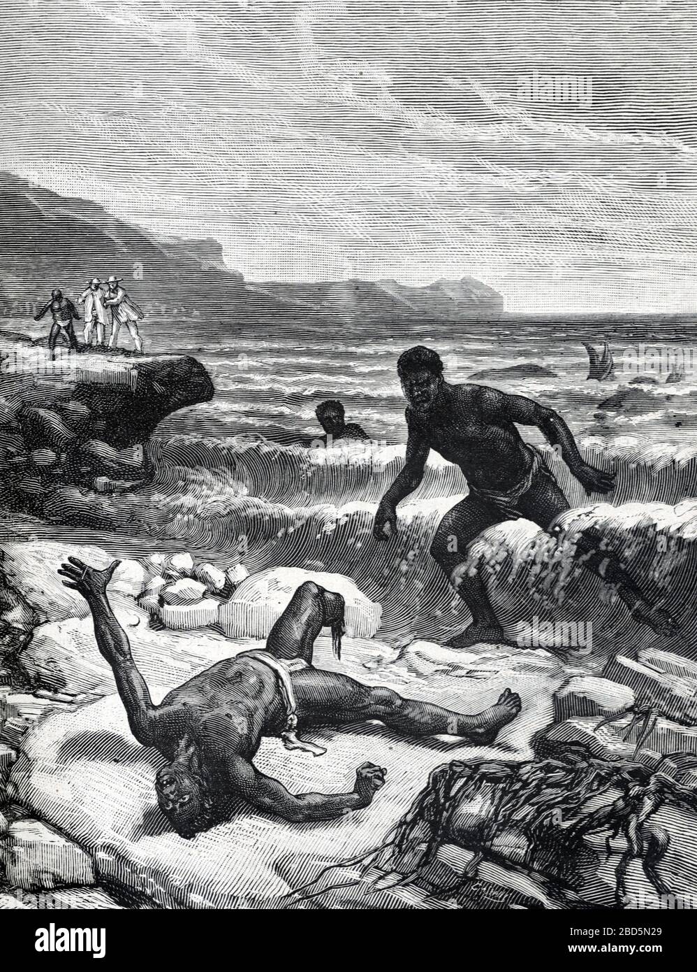 Malgascio uomo o squalo pescatore perde gamba in Shark attacco al largo della costa del Madagascar. Vintage o Old Illustration o Engraving 1882 Foto Stock