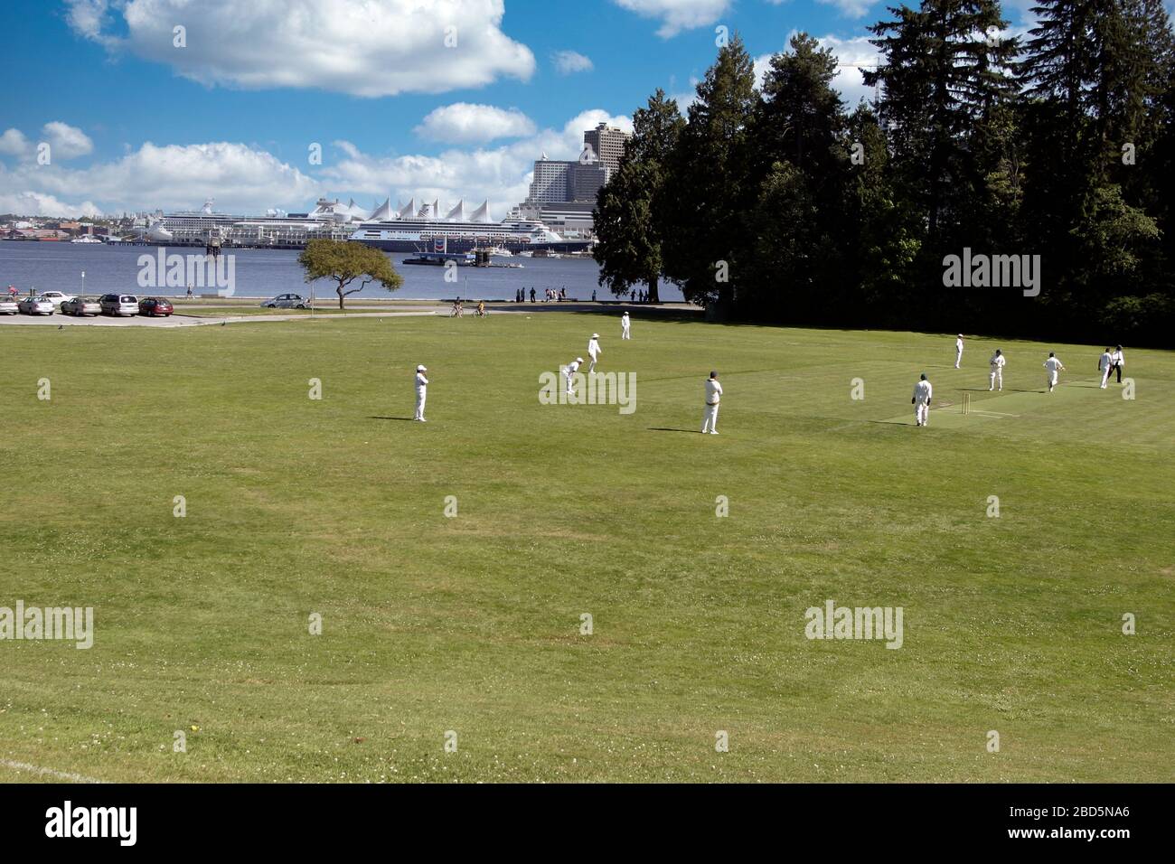 Cricit ha depositato in Stanley Park a Vancouver, British Columbia, Canada occidentale, Nord America Foto Stock