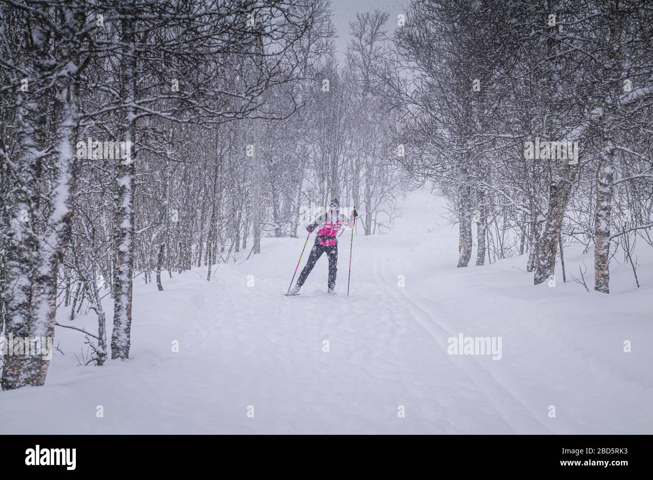 Sciatore di fondo femminile, Tromso, Norvegia. Foto Stock