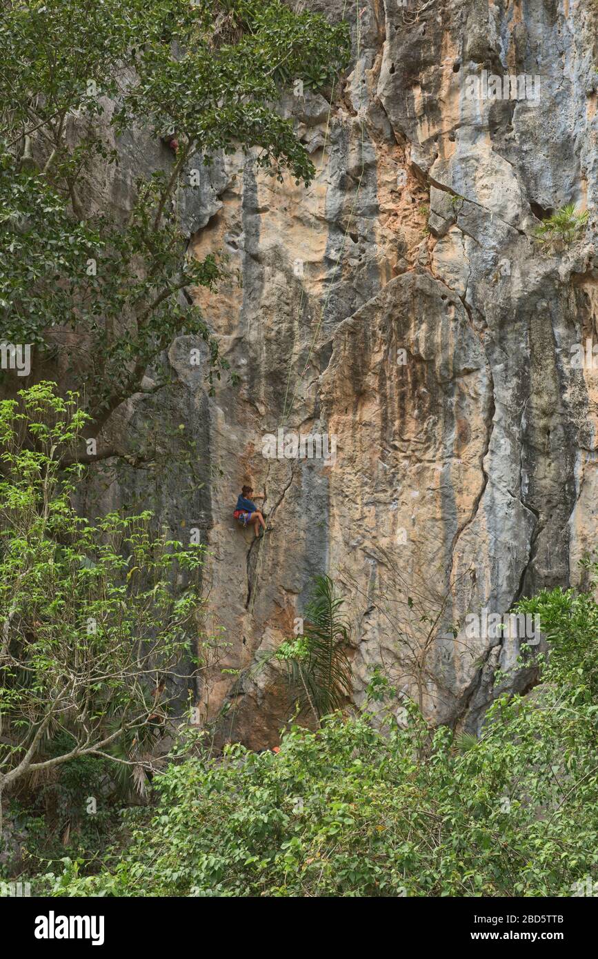 Arrampicata nella Valle Viñales, Cuba Foto Stock