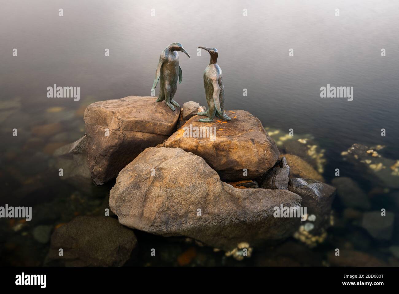 Famose statue di bronzo dei pinguini a Hobart. Foto Stock