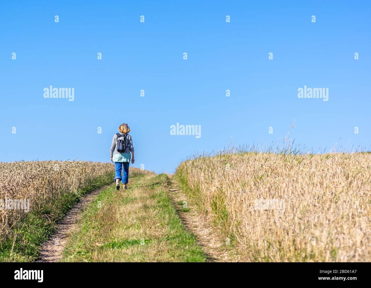 Una donna che cammina tra due campi di grano in una giornata di sole con un cielo azzurro. Foto Stock