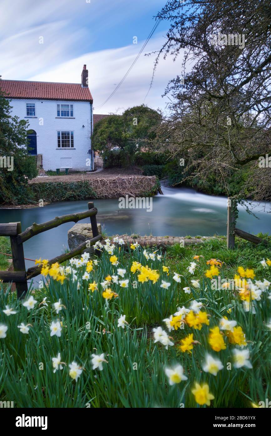 L'Old Mill e stagno al sole di primavera, a Foston on the Wolds, l'East Riding di Yorkshire, Inghilterra, Regno Unito, GB. Foto Stock