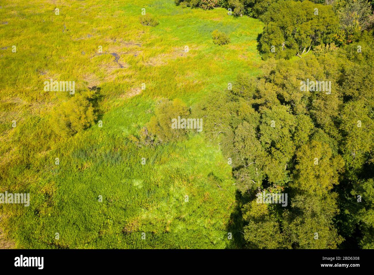 Veduta aerea di una palude secca vicino a un piccolo bosco lungo il fiume San Lorenzo. Foto Stock