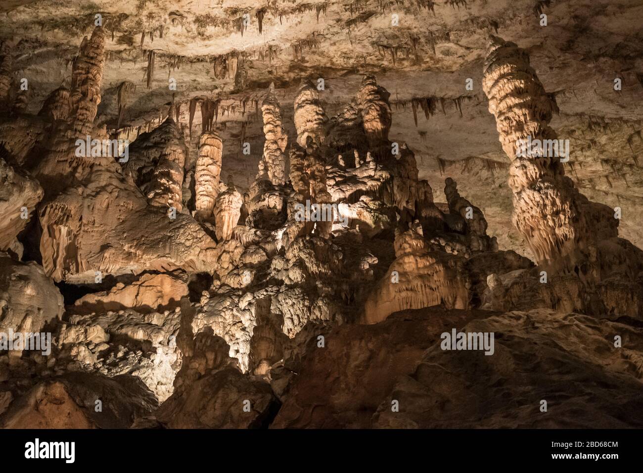 Stalattiti dettaglio nella Postojna, Slovenia Foto Stock