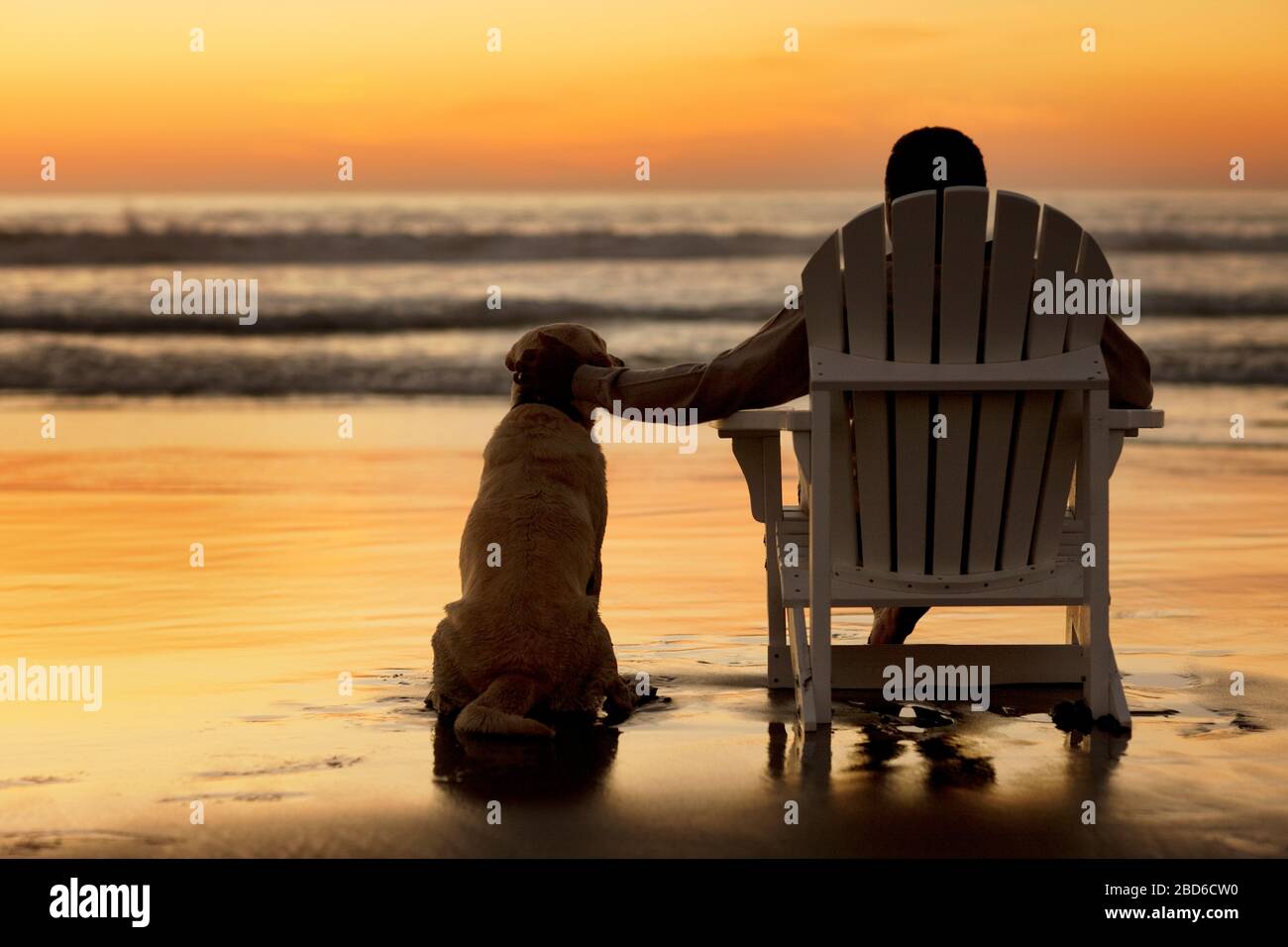 Uomo anziano rilassante che guarda il tramonto su una spiaggia con il suo cane. Foto Stock