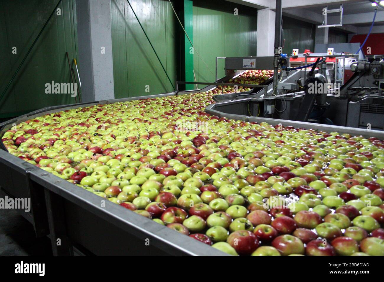 Lacko. Malopolska (bassa Polonia) Voivodato. Polonia. Deposito di frutta e impianto di imballaggio. Foto Stock