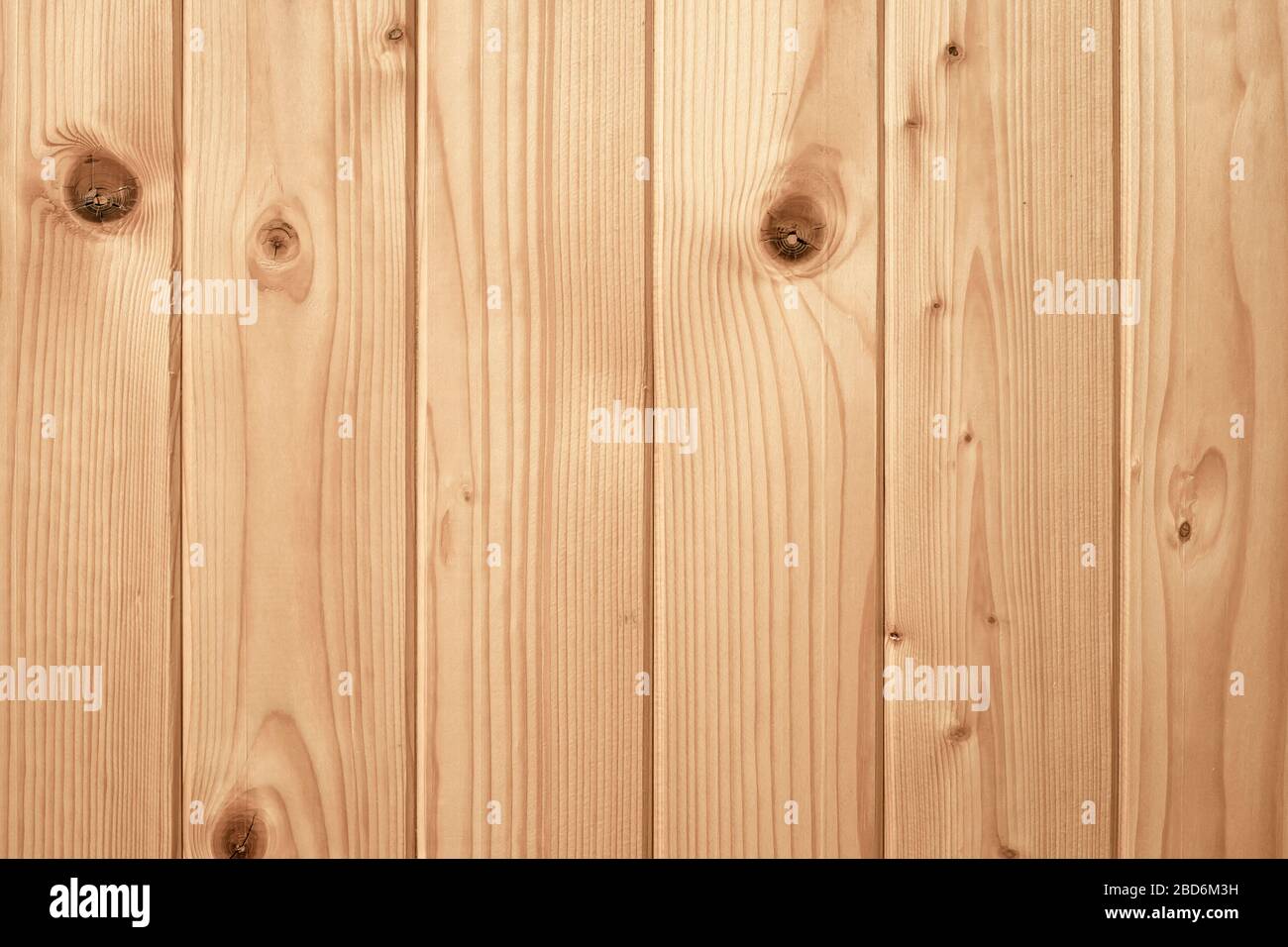 Struttura in legno bianco, sfondo. Recinzione in legno a strisce chiare, carta da parati. Modello di assi naturali. Asse - legname Foto Stock