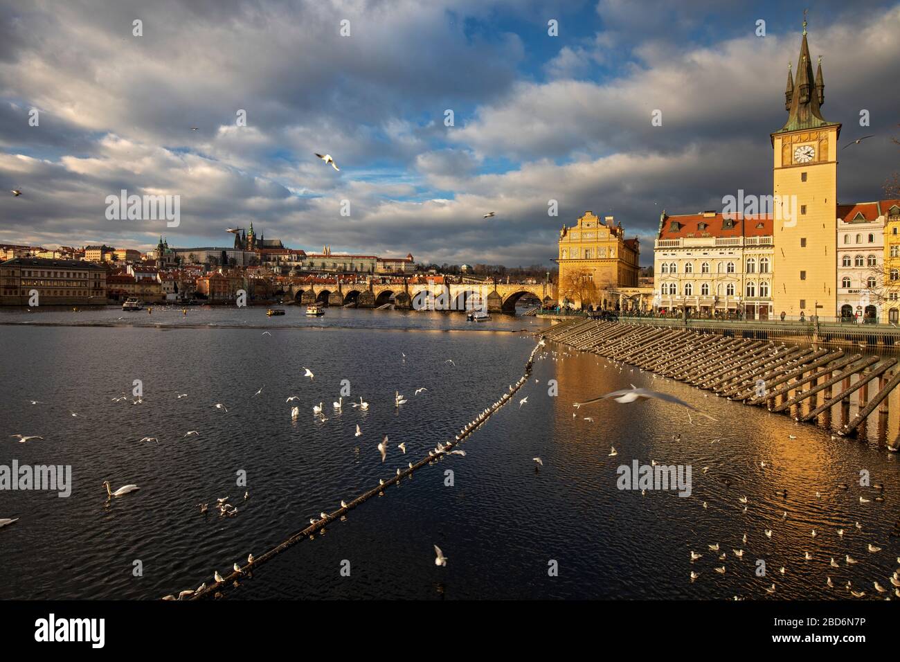 Museo Blick auf die Karlsbrücke und das Smetana, Prag, Tscechische Republik Foto Stock