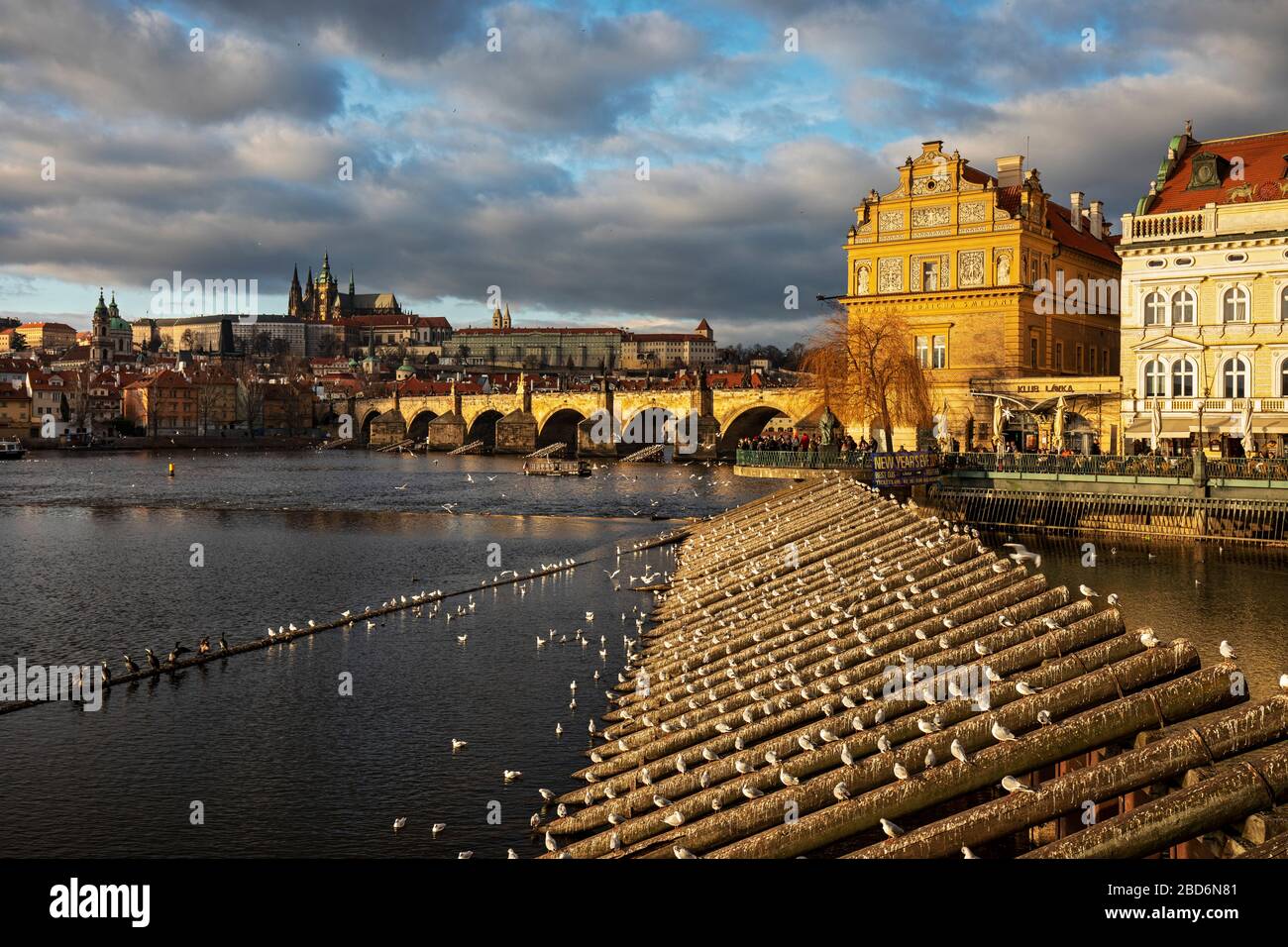 Museo Blick auf die Karlsbrücke und das Smetana, Prag, Tscechische Republik Foto Stock
