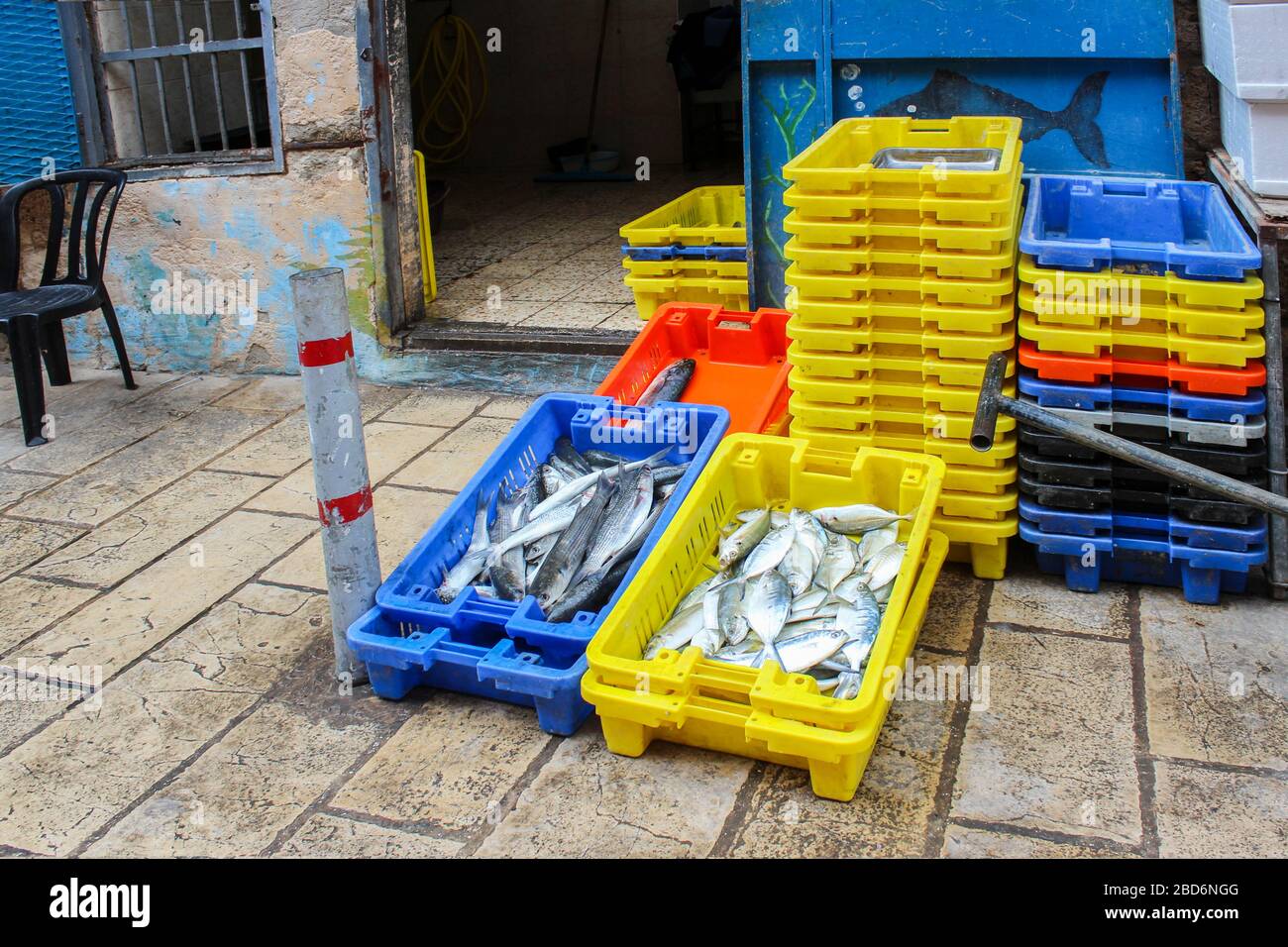 Pesce d'acqua salata appena pescato esposto in scatole per la vendita presso il negozio di pesce Foto Stock