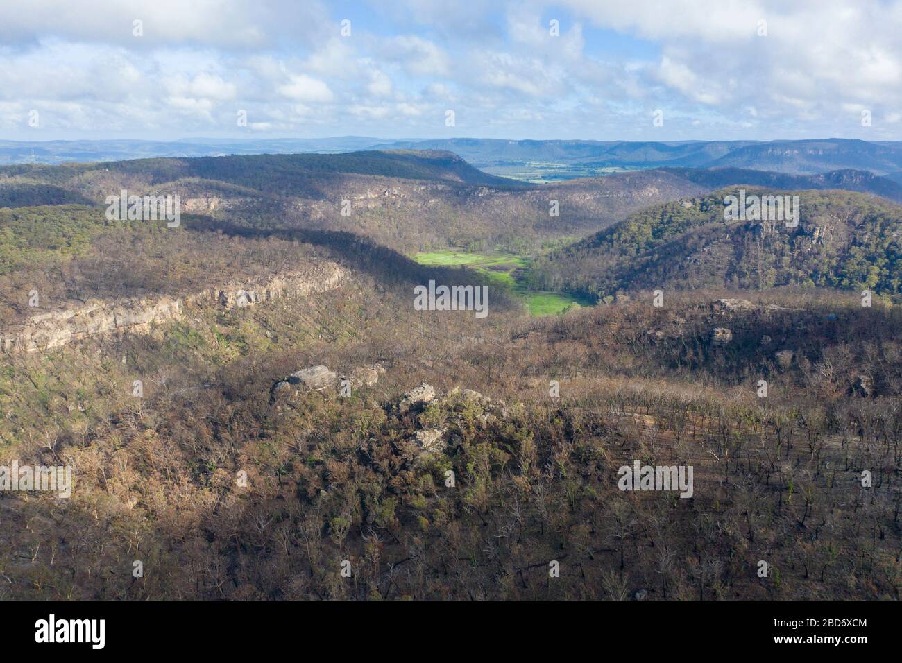 Una valle forestale affetta da un incendio di cespuglio nelle Blue Mountains in Australia Foto Stock
