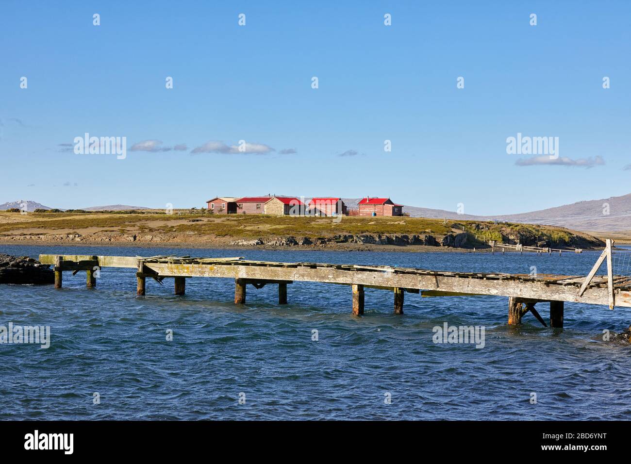 Case con tetti rossi a Darwin Harbour, Falkland orientale, Isole Falkland, Falklands Foto Stock