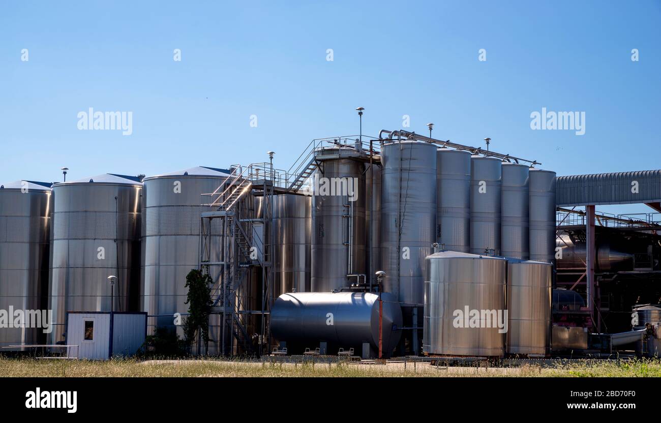 Fabbrica di vino. Vinificazione Foto Stock