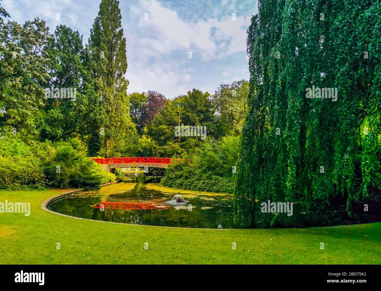 Bellissimo parco della città di Valkenberg a breda, lago d'acqua con erba e salice, paesaggio naturale dei Paesi Bassi Foto Stock