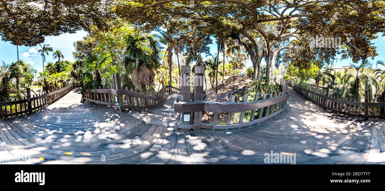 Palm Canyon Walkway nel Balboa Park Foto Stock