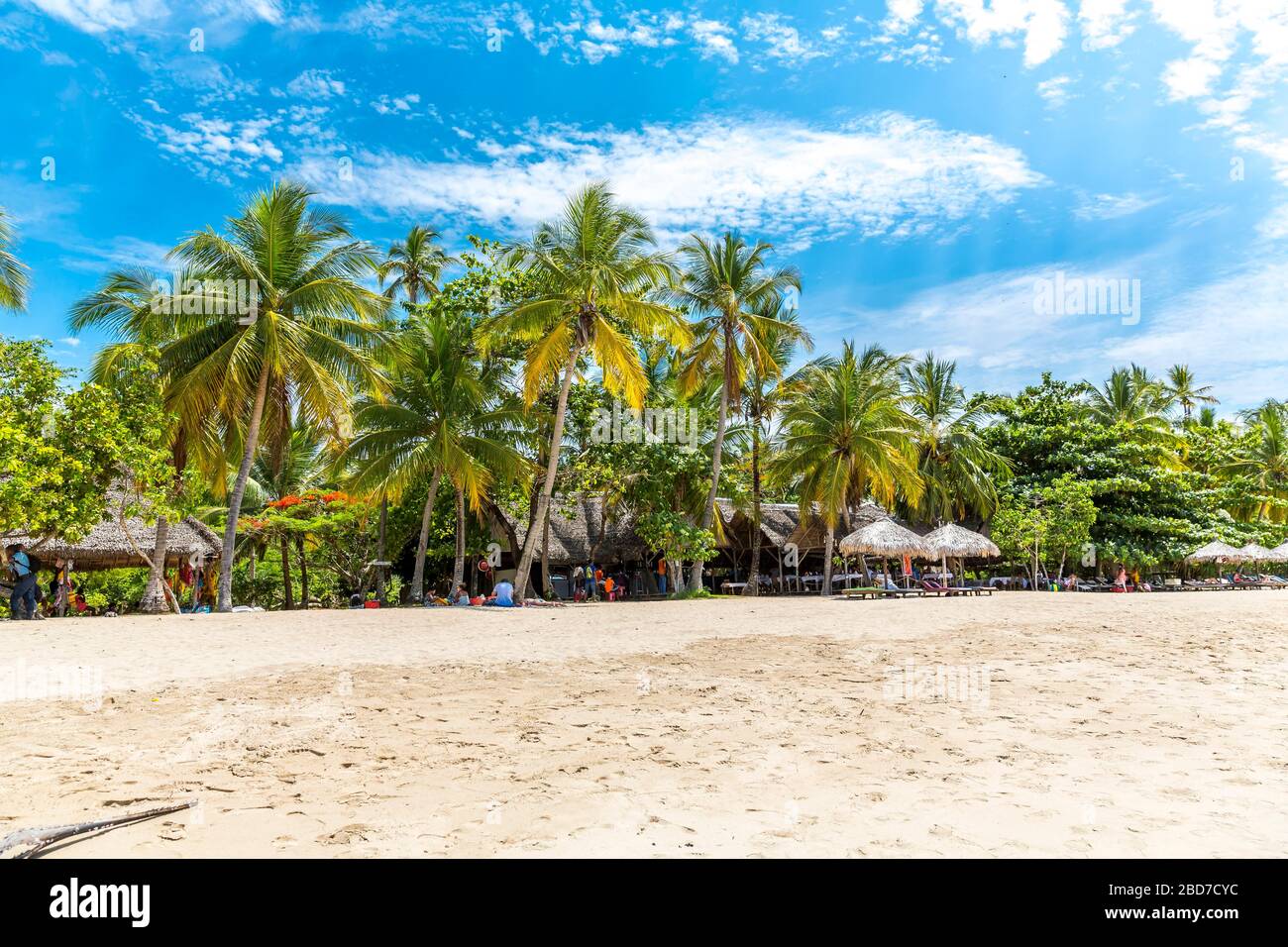 Spiaggia sabbiosa con palme, spiaggia di Andilana, isola di Nosy Be, Madagascar Foto Stock