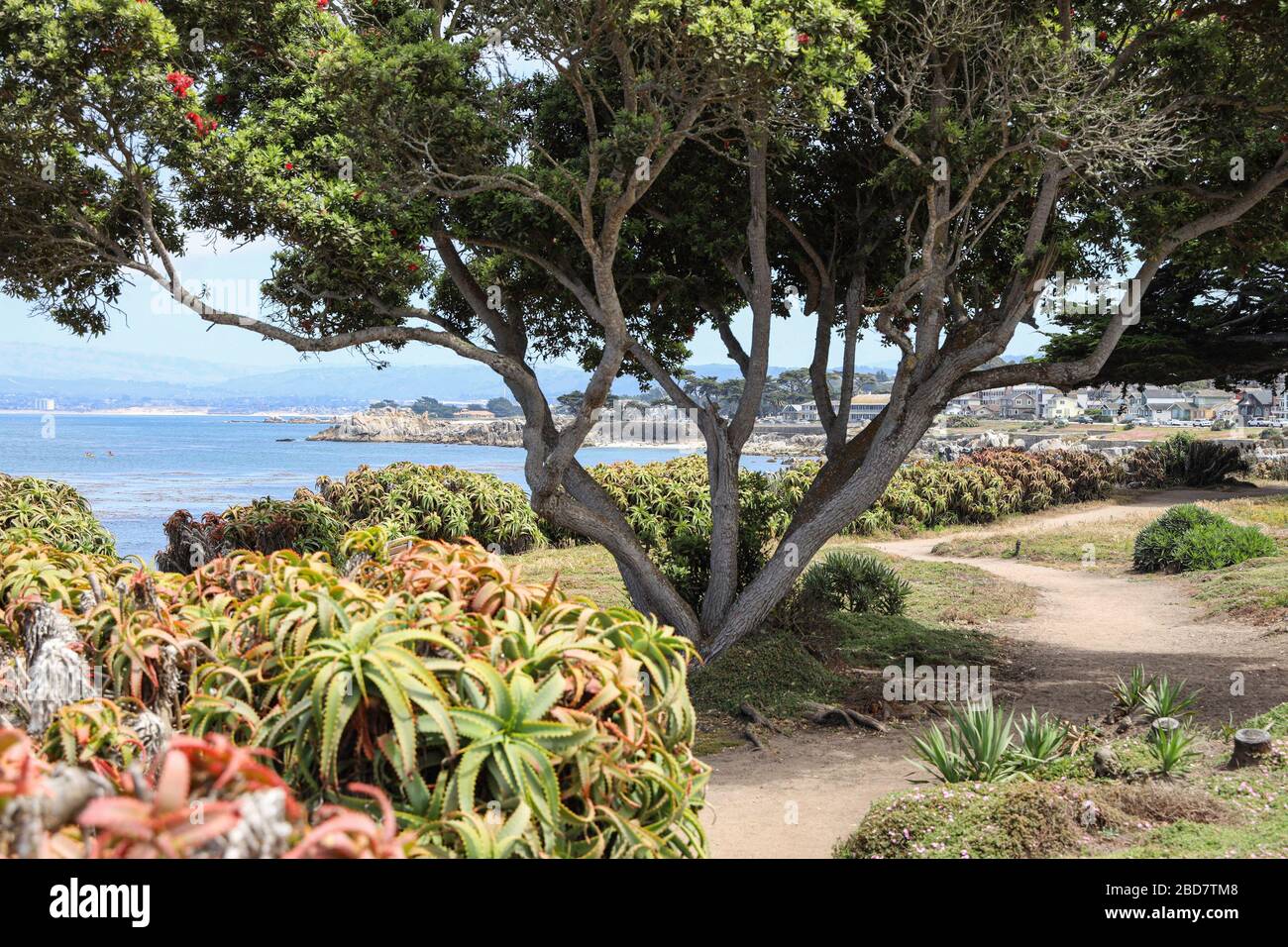 Una vista di Lovers Point da Ocean View Blvd a Pacific Grove, CA Foto Stock