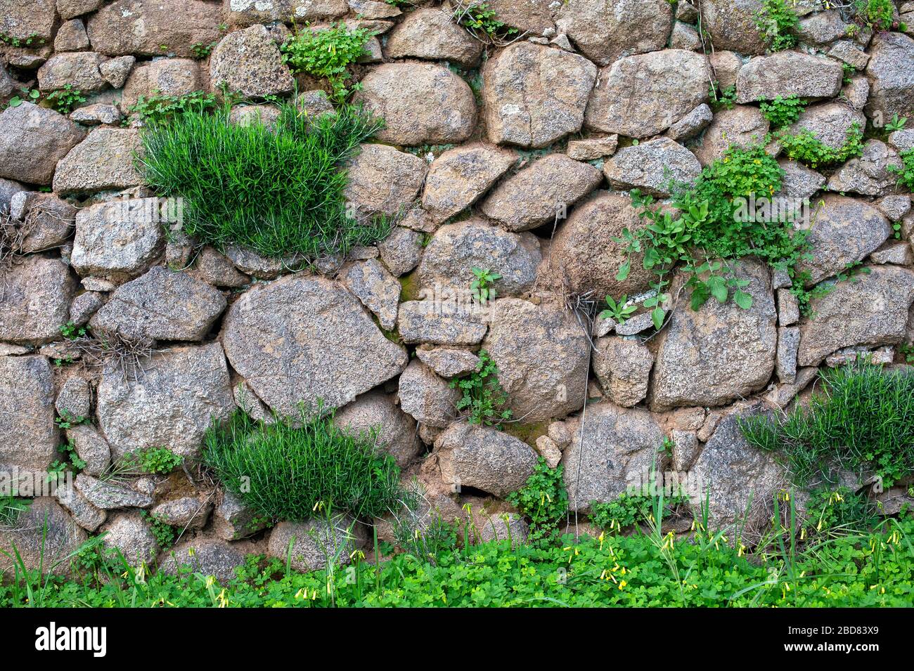 Muro di pietra a Serra de Monchique, Portogallo, Algarve, Serra de Monchique Foto Stock