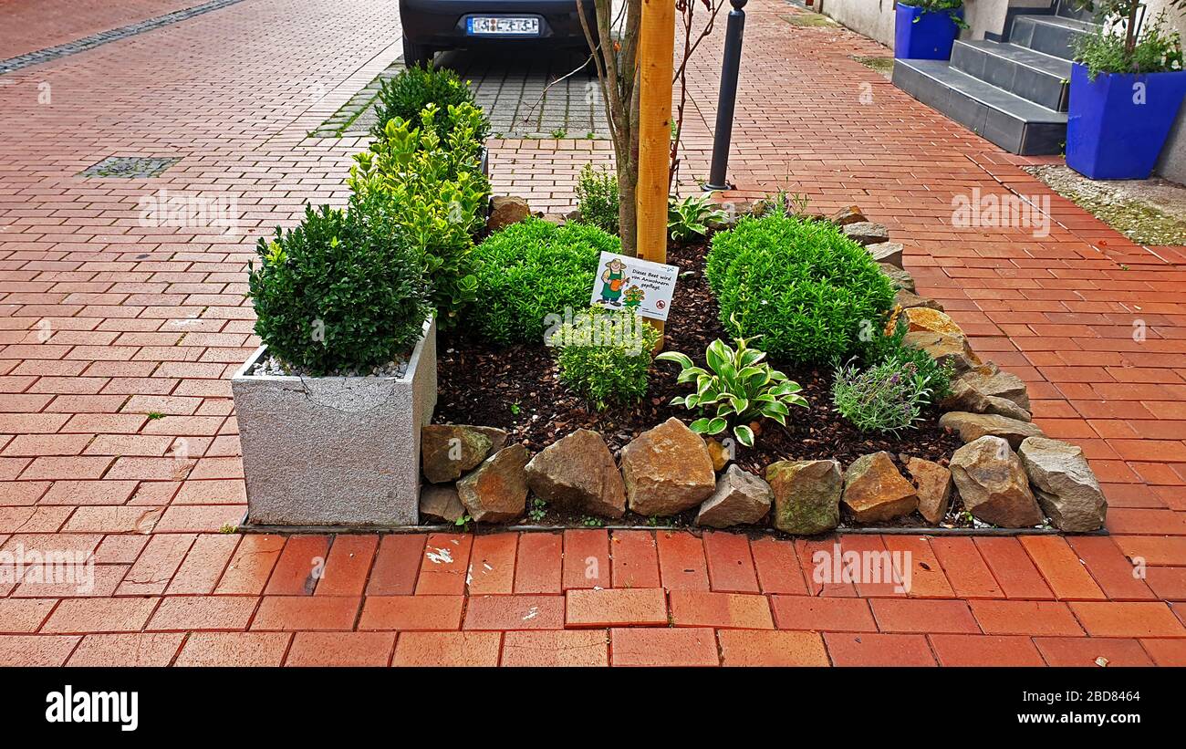 Verde stradale coltivato dalla popolazione locale, Germania, Renania Settentrionale-Vestfalia, Ruhr Area, Witten Foto Stock
