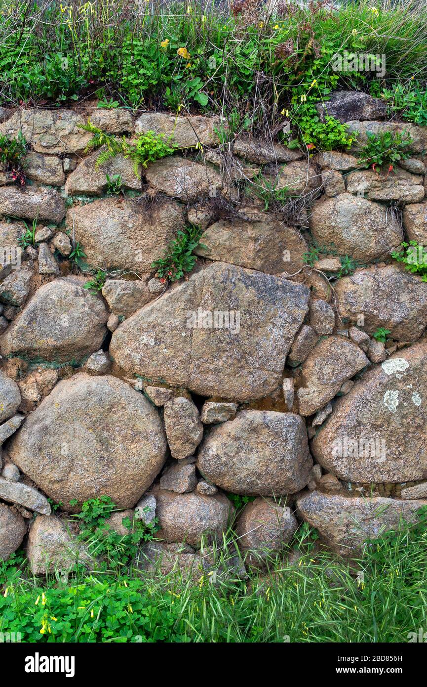 Muro di pietra a Serra de Monchique, Portogallo, Algarve, Serra de Monchique Foto Stock