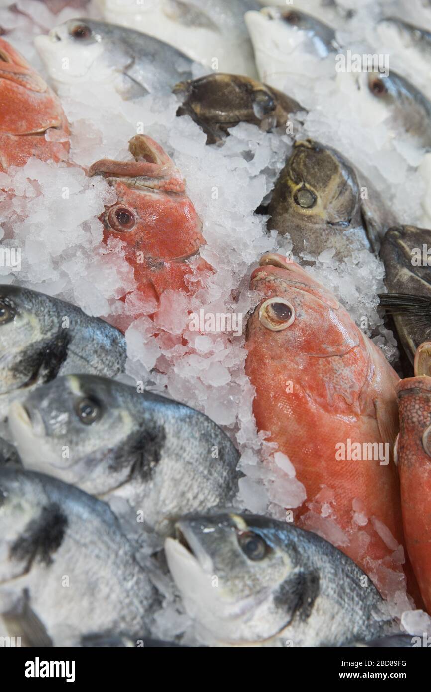 Pesce fresco in vendita, Harlesden, Brent Foto Stock