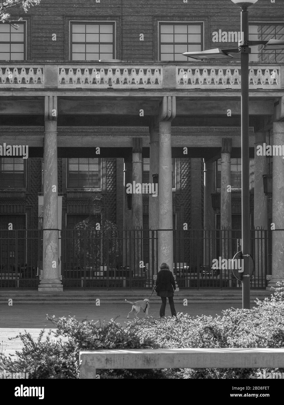 Pochi individui non identificati nelle strade vuote durante il blocco del 2020 e lo scoppio a Cremona, Italia, sotto quarantena. Cane a piedi. Foto Stock