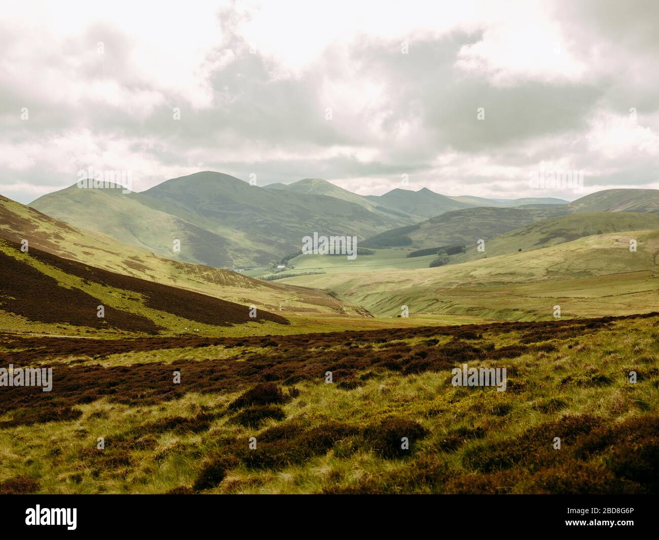 Colline ondulate nella campagna scozzese Foto Stock