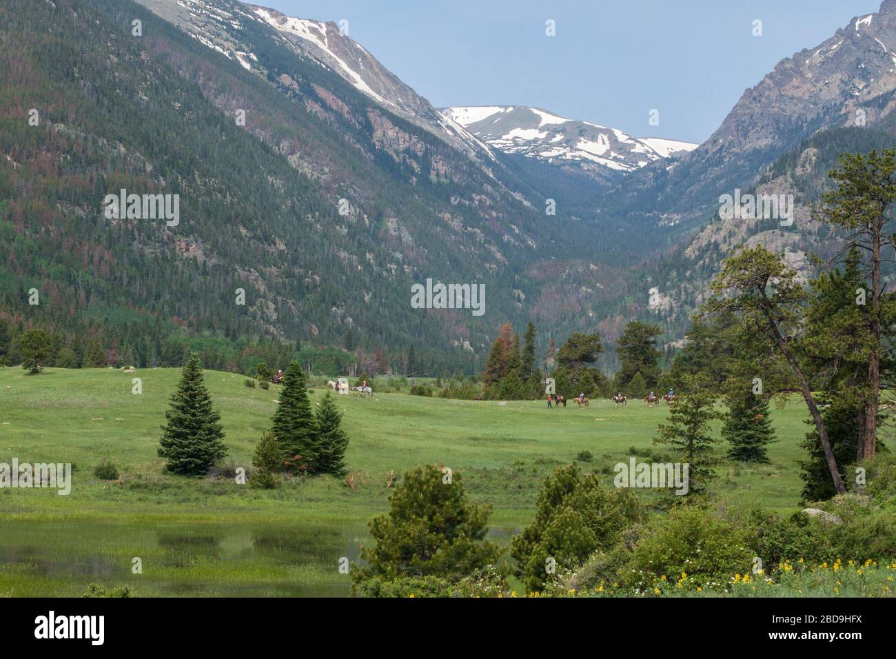 West Horseshoe Park. Foto Stock