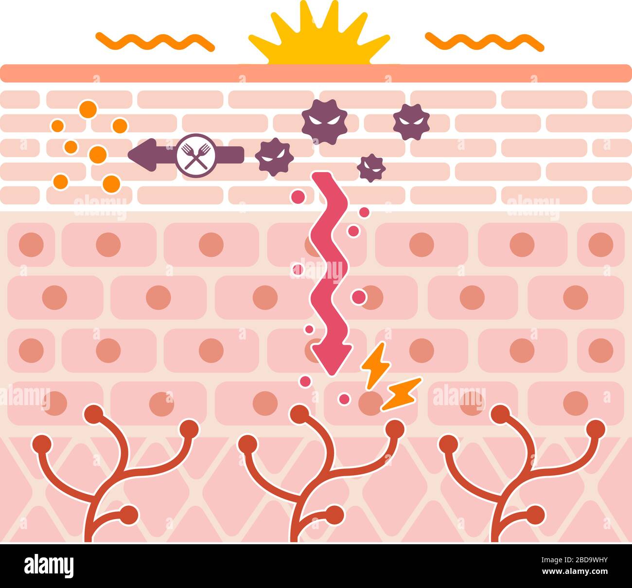 Meccanica di generazione del piede dell'atleta (ringworm) illustrazione vettoriale / nessun testo. Illustrazione Vettoriale