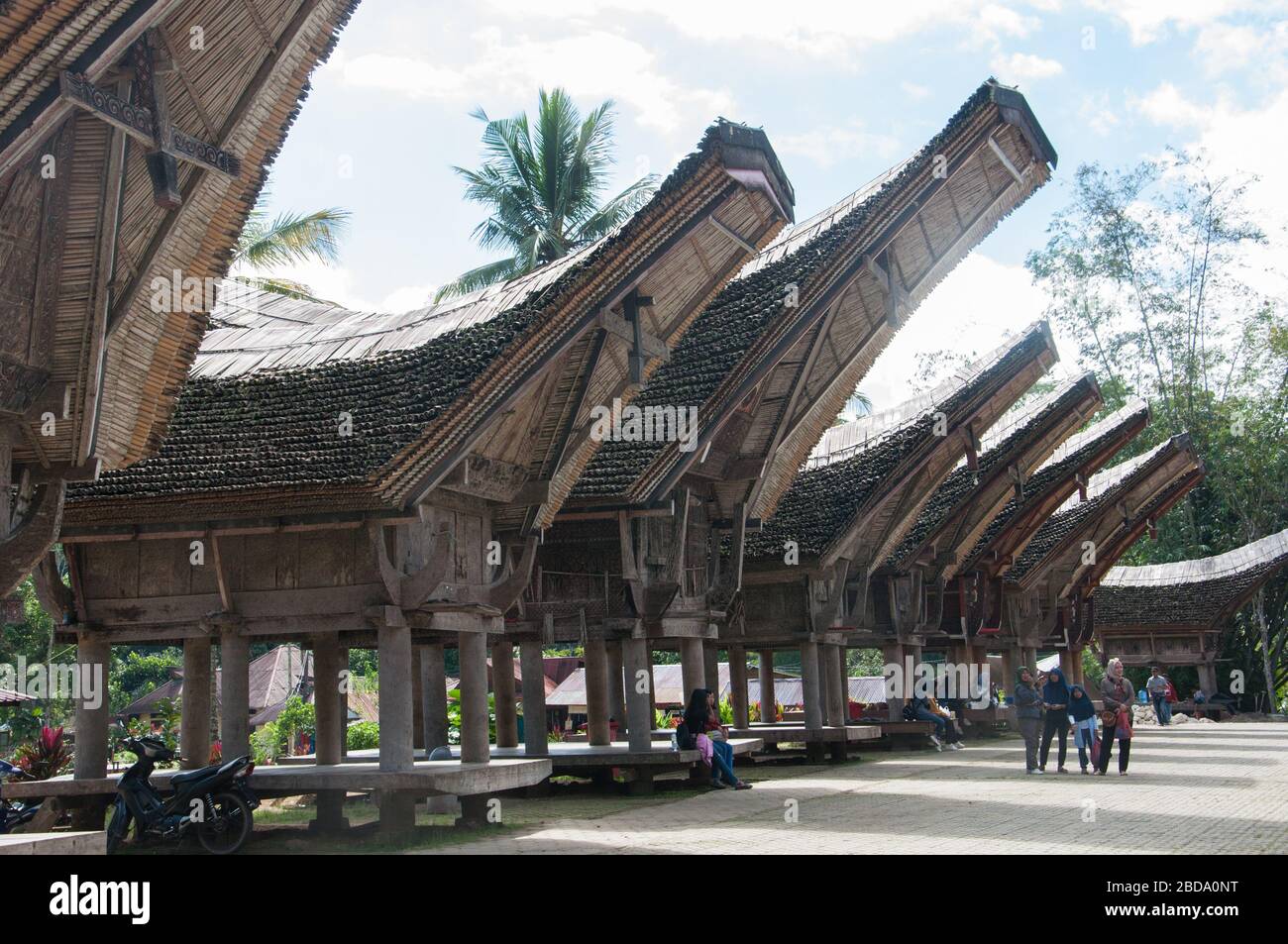 Case tradizionali della tribù Toraja al complesso Ke'te Kesu a nord Toraja di Indonesia. Tana Toraja situato nel sud Sulawesi è uno dei punti di forza o Foto Stock