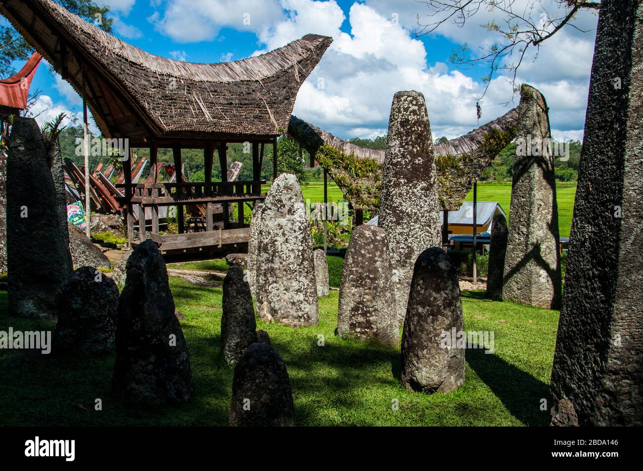 Sito megalitico di Bori Kalimbuang nel nord di Toraja, Indonesia. Tana Toraja situato nel sud Sulawesi è uno dei punti di forza del turismo indonesiano. Il Foto Stock