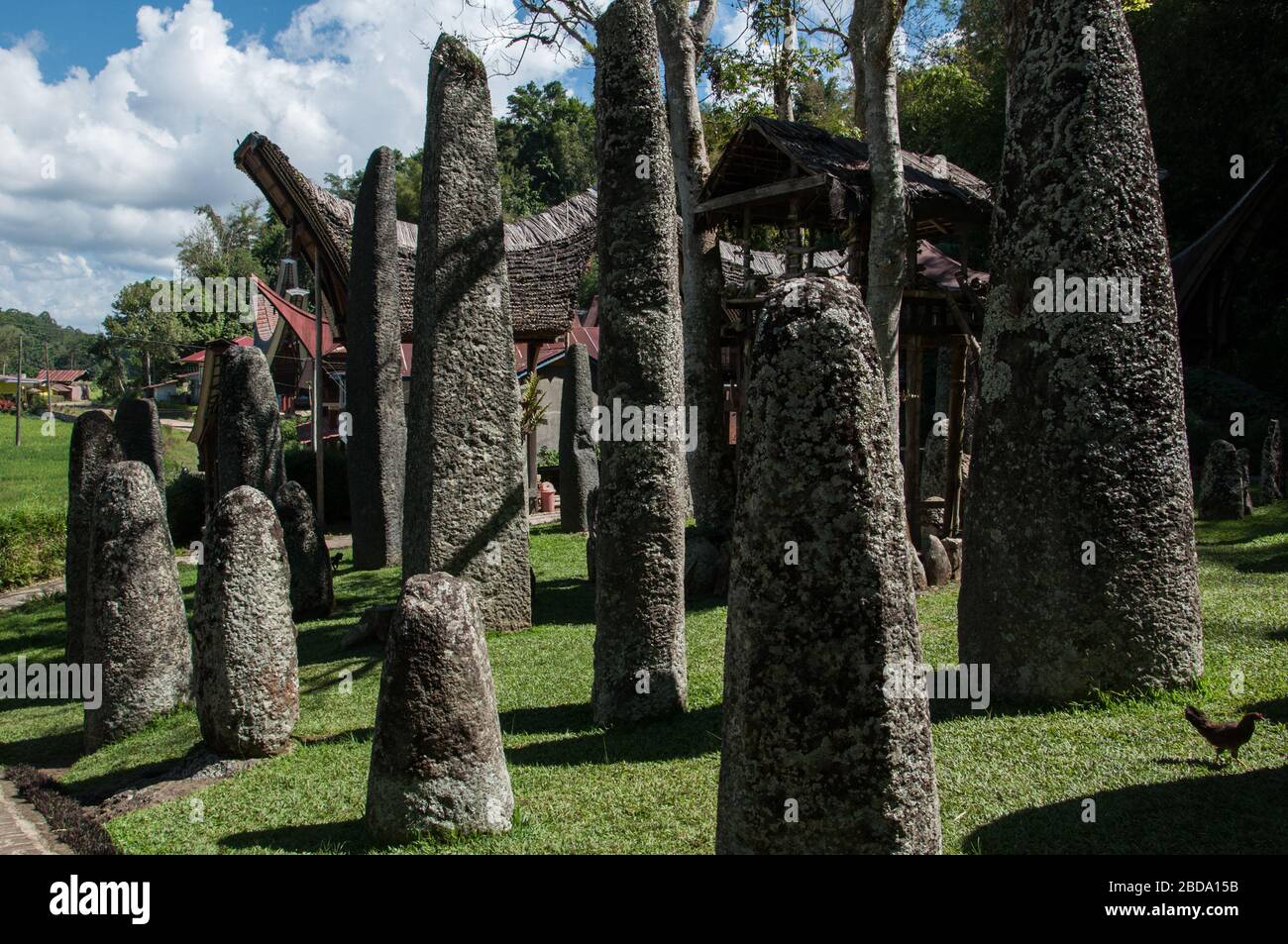 Sito megalitico di Bori Kalimbuang nel nord di Toraja, Indonesia. Tana Toraja situato nel sud Sulawesi è uno dei punti di forza del turismo indonesiano. Il Foto Stock