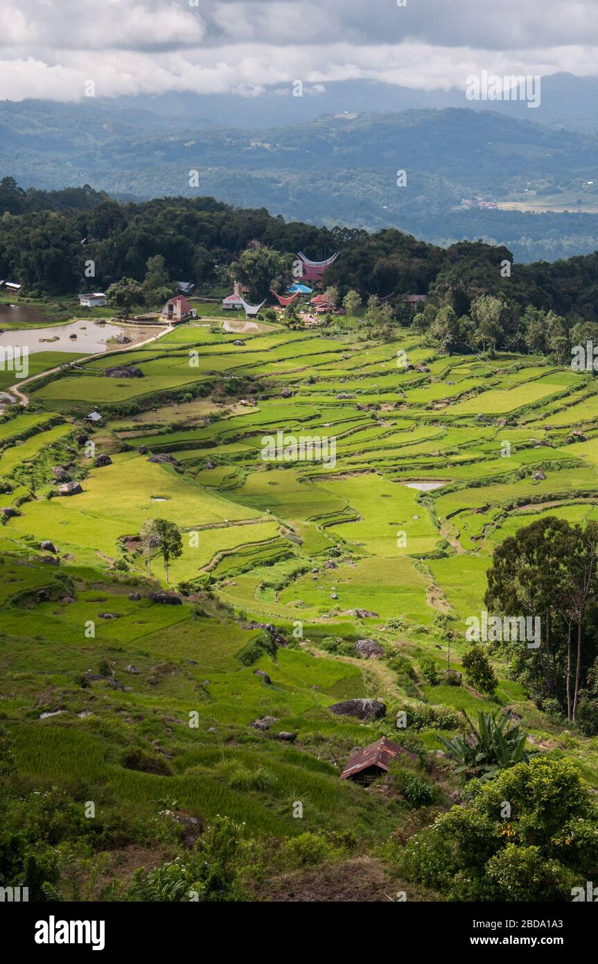 Paesaggio del villaggio di Tana Toraja in Indonesia. Tana Toraja situato nel sud Sulawesi è uno dei punti di forza del turismo indonesiano. La regione è famou Foto Stock