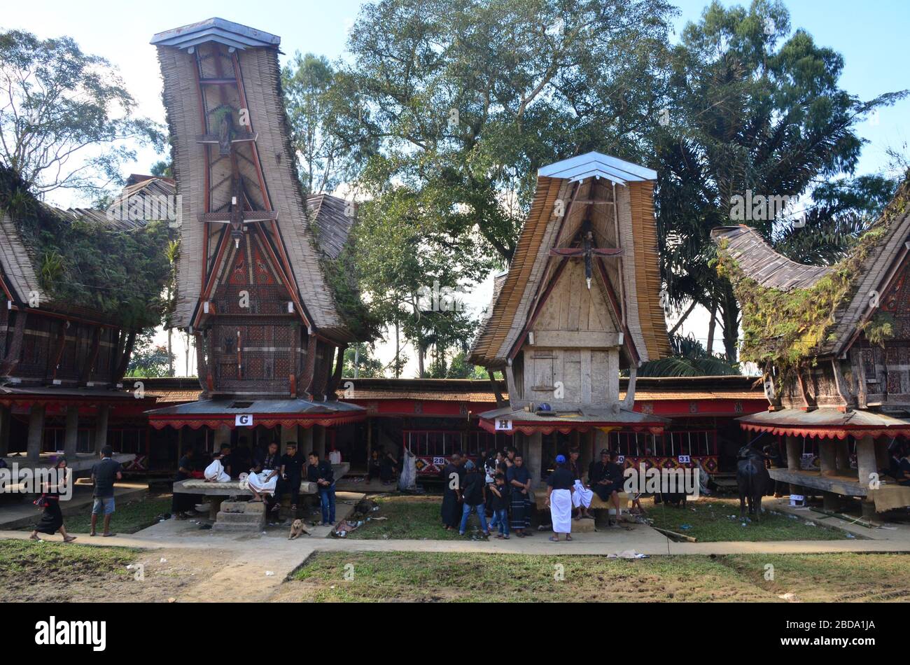 I tradizionali granai di riso sono utilizzati per riposare i visitatori e i parenti durante una cerimonia funeraria a Tana Toraja, Indonesia. Foto Stock