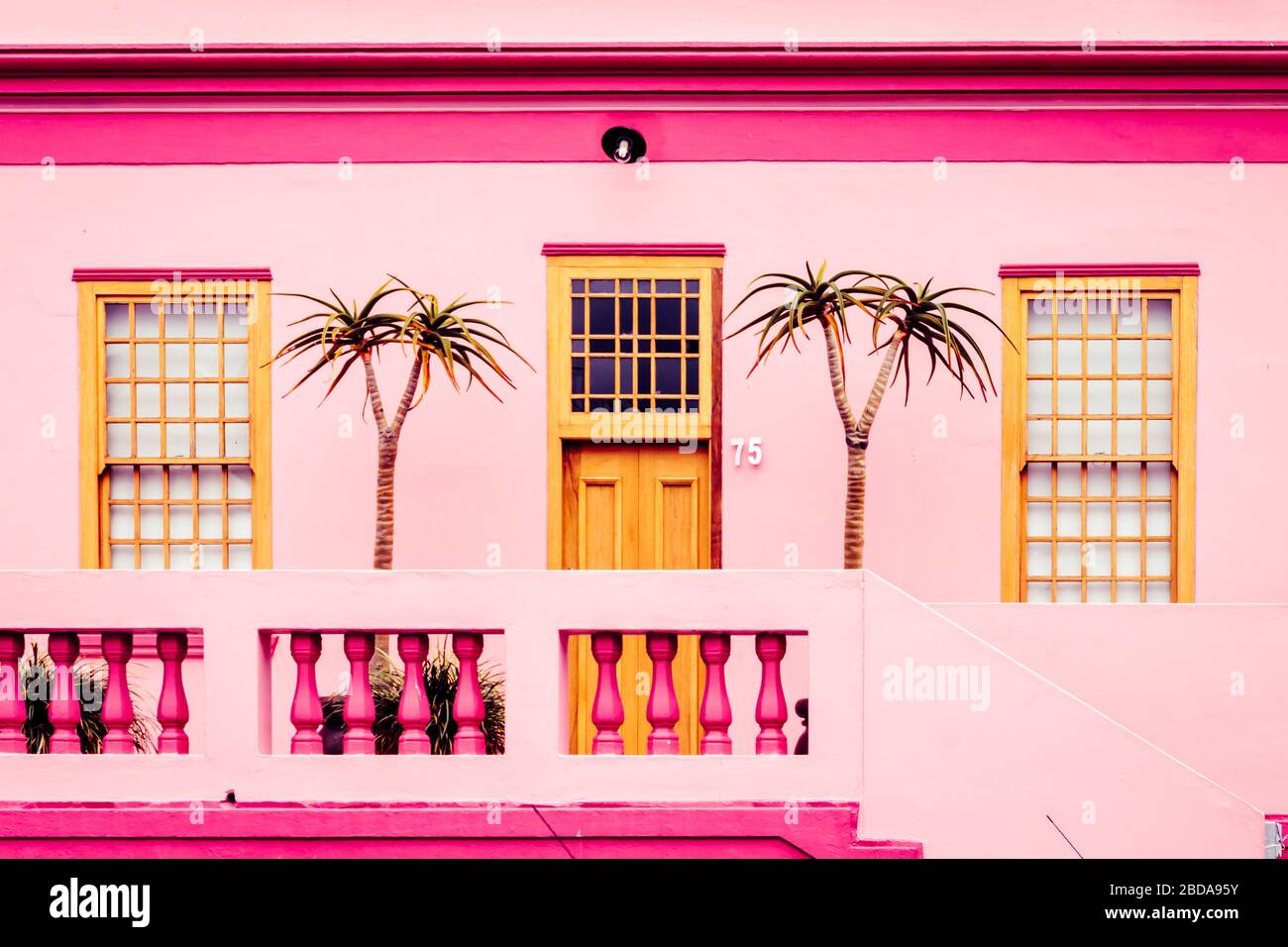 Casa rosa colorata decorata con palme nel quartiere Bo Kaap di Città del Capo Sud Africa Foto Stock