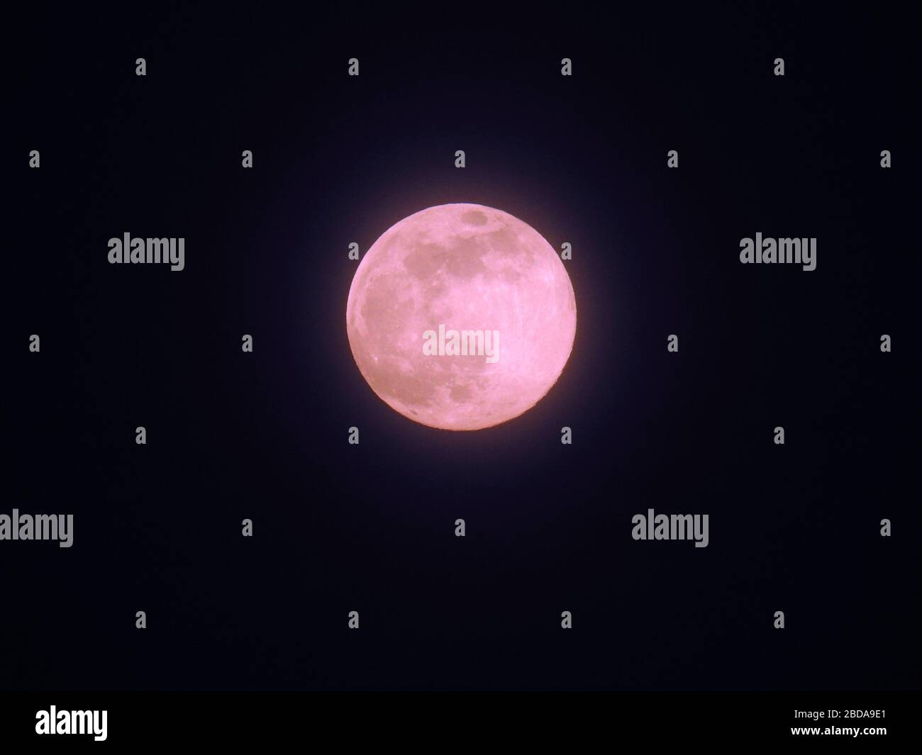 La luna piena super il 7 2020 aprile conosciuta anche come la "Luna rosa" Foto Stock