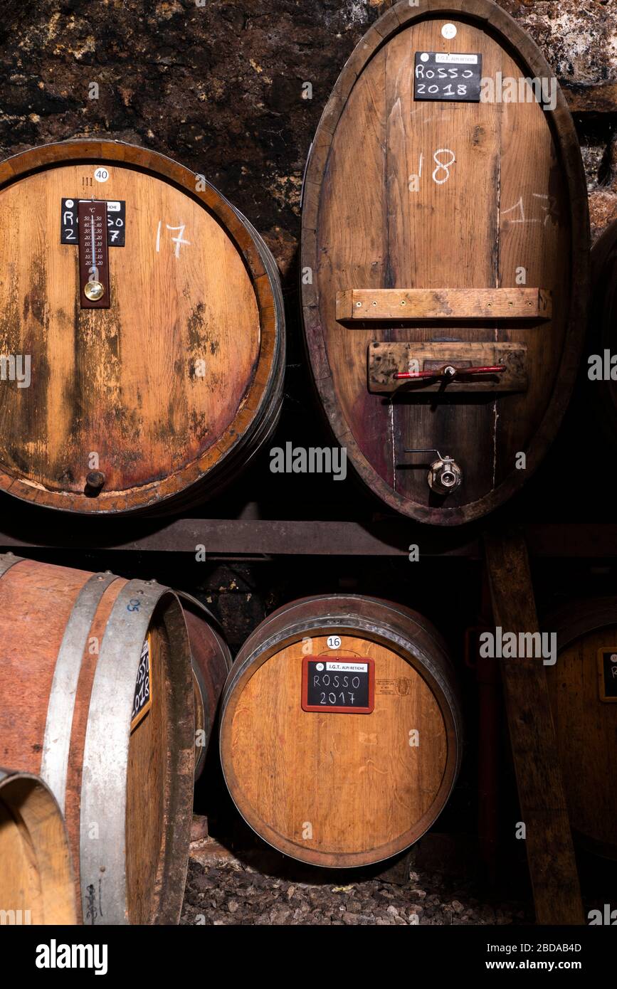 Botti di vino da legno per l'invecchiamento in cantina, Costiera dei Cech, Valtellina, provincia di Sondrio, Lombardia, Italia Foto Stock