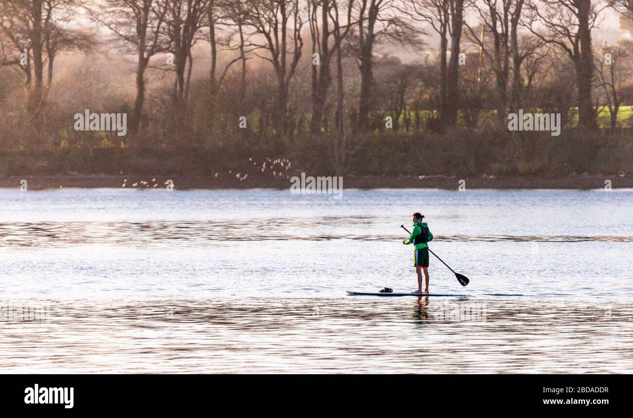 Carrigaline, Cork, Irlanda. 07 aprile 2020. Un giovane coglie l'occasione durante l'emergenza Covid-19 di paddle board sul fiume Owenabue, fuori Carrigaline, Co. Cork, Irlanda. - credito; David Creedon / Alamy Live News Foto Stock