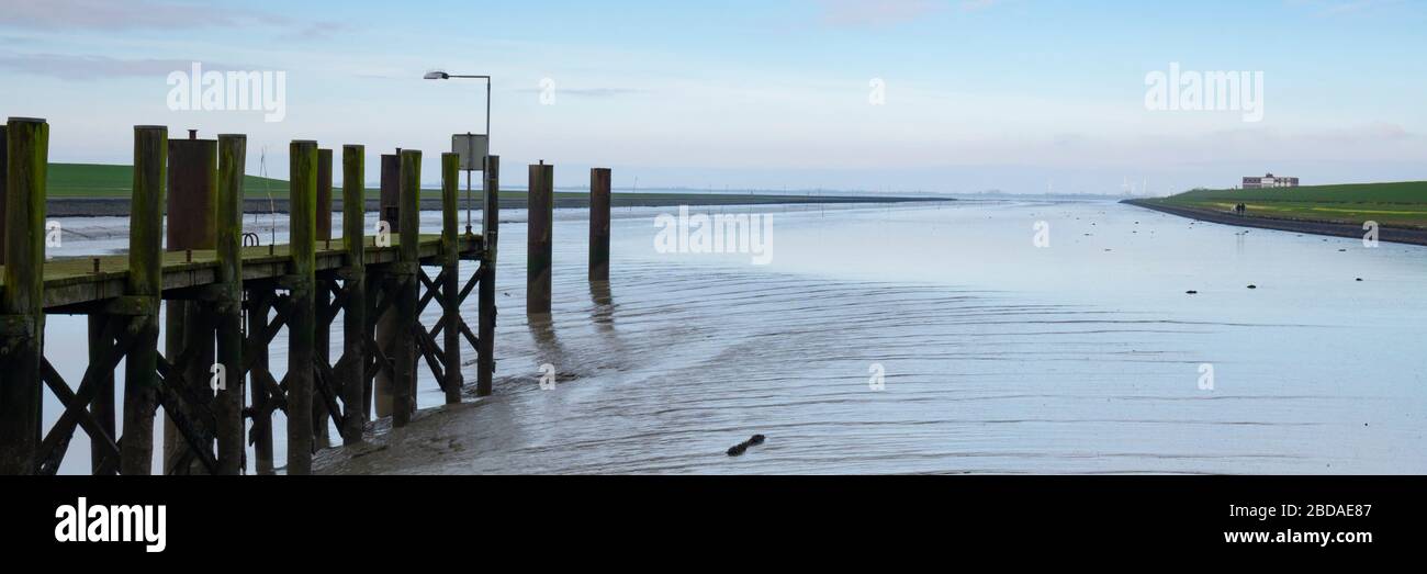 Parco Nazionale Wadden Mare vicino a Husum, Frisia Nord, Schleswig-Holstein, Germania, Europa Foto Stock