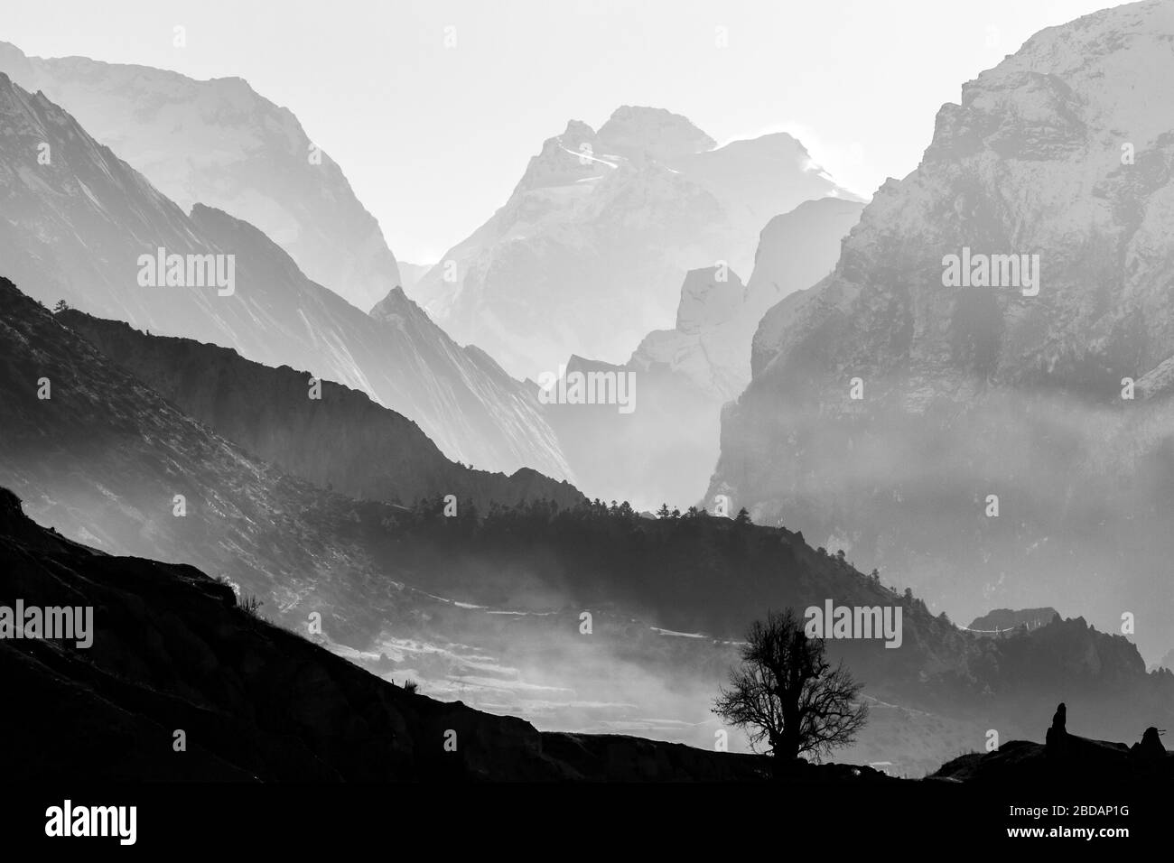 La mattina in montagne di nebbia. In bianco e nero di sfondo di montagna Foto Stock