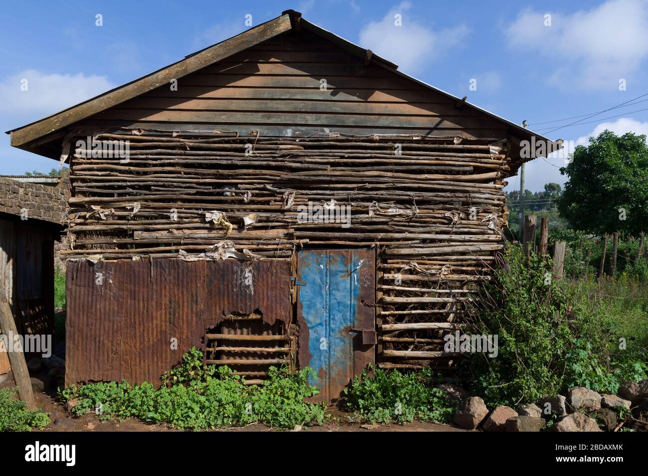 Agriturismo nel paese di Lusigetti. Lusigetti si trova a circa 27 km a nord-ovest del centro di Nairobi, nella circoscrizione di Kikuyu, nella contea di Kiambu, in Kenya Foto Stock